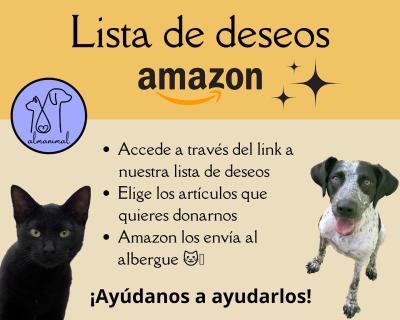 Lista deseos Amazon
